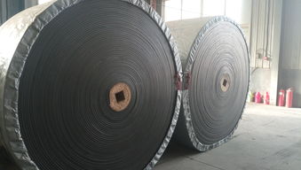 強(qiáng)力輸送帶 價(jià)格因素、廠家選擇與行業(yè)應(yīng)用指南